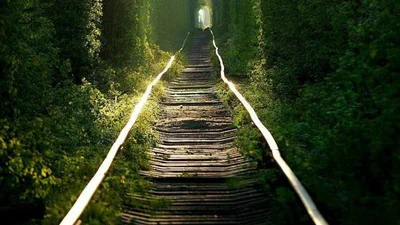 Daily Mail назвав український «Тунель кохання» найромантичнішим місцем світу