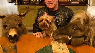 Арнольд Шварценеггер прийшов на роботу з віслюком та поні – і вони такі потішні