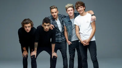 Учасник "One Direction" Найл Хоран назвав причину, через яку гурт й досі "стоїть на паузі"