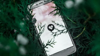 Дослідники знайшли «вподобайки» кам'яної доби – і до них причетні страуси