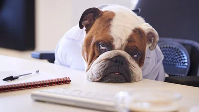 Як розважитися під час карантину – не дай собі занудьгувати через коронавірус