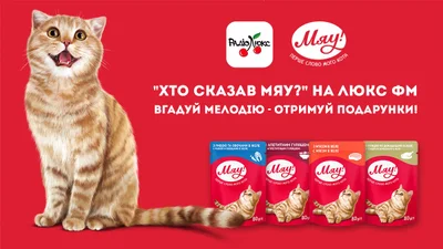 Хто сказав Мяу: вгадай мелодію пісні у ефірі Люкс ФМ та отримай подарунки