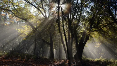 День весняного рівнодення 2023 року - прикмети, ритуали