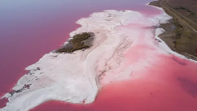 На рожевій планеті: знімок соляного озера Херсонщини опублікували в National Geographic