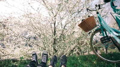 Ученые рассказали, что «запах весны» – реальное явление, а не романтическая фраза