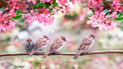 Выходные в мае 2020 - государственные праздники в Украине