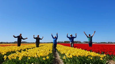 В Нидерландах цветут тюльпаны, которые передают интересные послания туристам