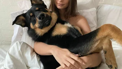 Эмили Ратажковски устроила своему псу свадьбу, и это не шутка