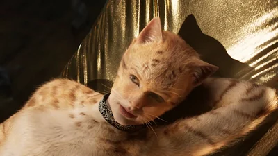 В этом видео кошка заговорила с женщиной и так испугала ее, что та чуть не поседела