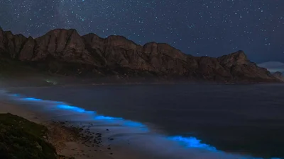 На пляжах Калифорнии вода начала светиться в темноте, и это настоящий эстетический оргазм