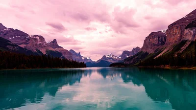 Природні чари: в Індії озеро всього за ніч змінило колір із зеленого на рожевий