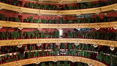 Барселонська опера провела перший концерт після карантину - слухачами були рослини
