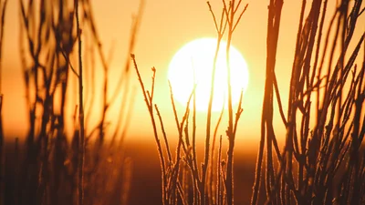 В NASA продемонстрировали 10 лет жизни Солнца в одном видео