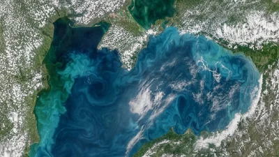Черное море начало цвести, и это видно даже из космоса