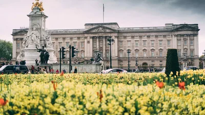 Букингемский дворец выпустил джин, ингредиенты для которого собрали в саду Елизаветы II