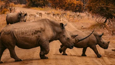 Обратный отсчет: ученые рассказали, что вскоре наш климат будет таким, как 5 млн лет назад