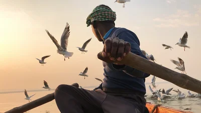 Лучшие кадры, сделанные на iPhone в 2020 году, доказывают, что снять шедевр может каждый