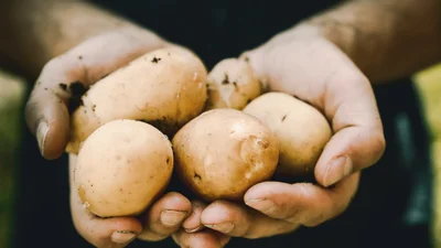 В Великобритании прошел конкурс на лучшее фото с картошкой, и это настоящая истерика