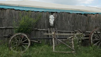Пишаємось: одразу три українські фотографи стали фіналістами престижного фотоконкурсу
