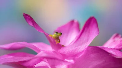 Фотоконкурс International Garden Photographer доводить, що рослини живуть своїм життям