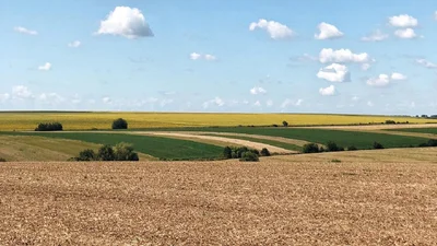 Привітання з Днем Незалежності України у прозі та віршах