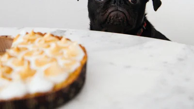 Можна їсти: дієтолог розвінчала ще один відомий міф про схуднення