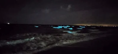 Поблизу Одеси море засвітилося блакитним, і це не витівки туристів - фото 493633