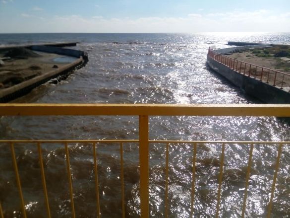Поблизу Одеси море засвітилося блакитним, і це не витівки туристів - фото 493634