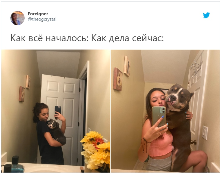 Юзери шаленіють від нових мемів у стилі 'Як все починалось VS Як все закінчилося' - фото 493825
