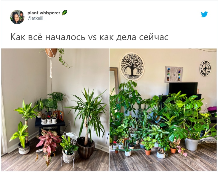 Юзери шаленіють від нових мемів у стилі 'Як все починалось VS Як все закінчилося' - фото 493828