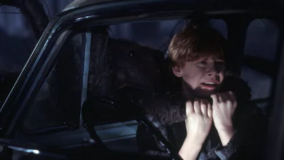 Моторошне видовище: чоловік прикрасив будинок до Геловіну величезним павуком, що рухається