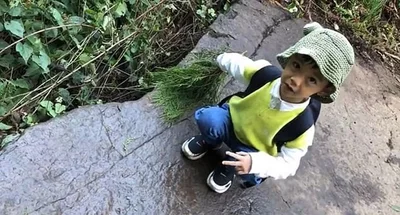 Пятилетний мальчик нашел следы динозавра, которым 130 млн лет - фото 494217