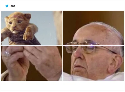 Забавная фотка с Папой Римским стала мемом, который доводит до истерики - фото 494502