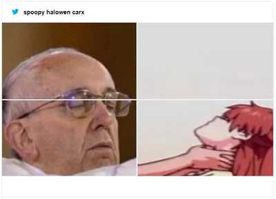 Забавная фотка с Папой Римским стала мемом, который доводит до истерики - фото 494510