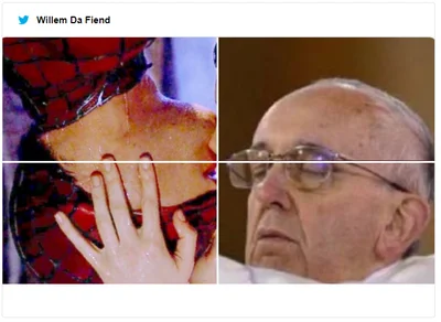 Забавна фотка з Папою Римським стала мемом, який доводить до істерики - фото 494512