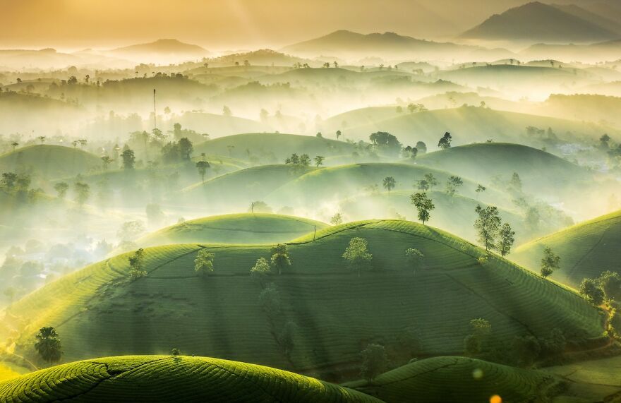 Weather Photographer Of The Year - фотоконкурс, показывающий всю силу и красоту стихии - фото 495039