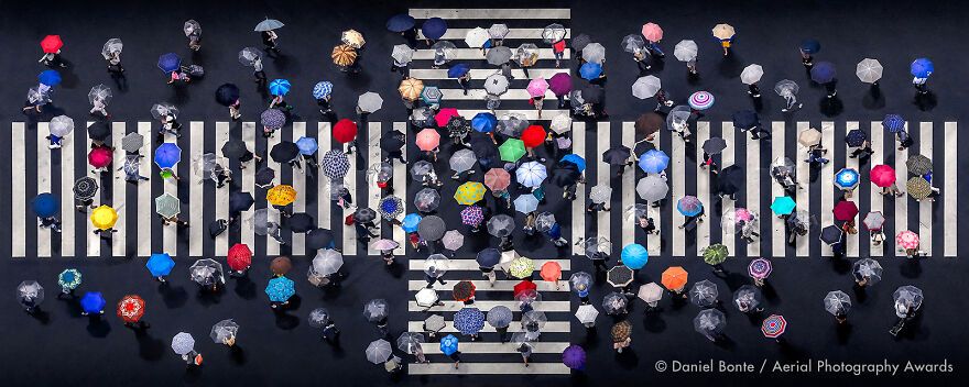 С высоты птичьего полета: победители Aerial Photography Awards 2020 - 495184 С высоты птичьего полета: победители Aerial Photography Awards 2020 - фото 495184