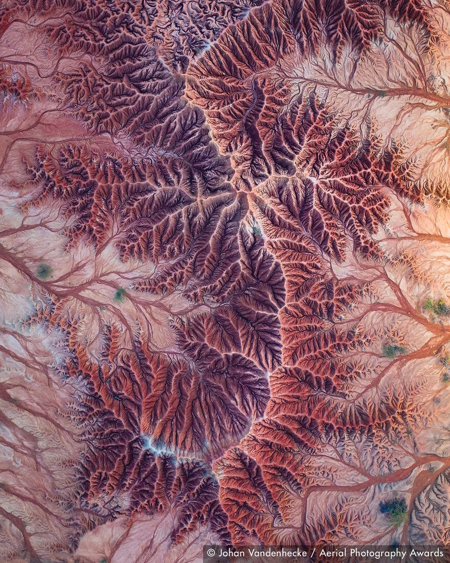 С высоты птичьего полета: победители Aerial Photography Awards 2020 - 495189 С высоты птичьего полета: победители Aerial Photography Awards 2020 - фото 495189