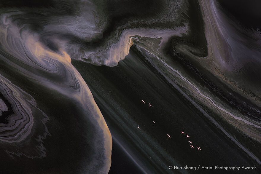 С высоты птичьего полета: победители Aerial Photography Awards 2020 - 495192 С высоты птичьего полета: победители Aerial Photography Awards 2020 - фото 495192