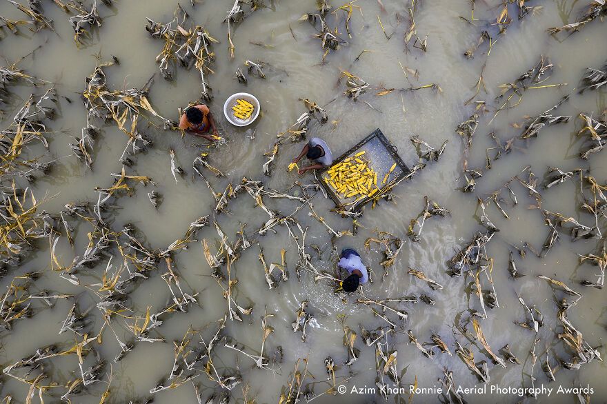 С высоты птичьего полета: победители Aerial Photography Awards 2020 - 495205 С высоты птичьего полета: победители Aerial Photography Awards 2020 - фото 495205