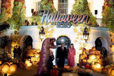 Хэллоуин 2020: как Мелания Трамп украсила Белый дом к мистическому празднику - фото 495401