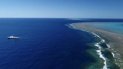 Вблизи Австралии нашли коралловый риф, который выше небоскребов - фото 495783