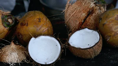 Индонезийские студенты будут платить за обучение кокосами, и это очень умный ход
