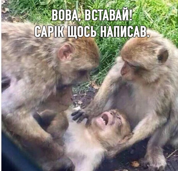 «Кто такой Сарик?»: новый пост Владимира Зеленского спровоцировал волну мемов - 496146 «Кто такой Сарик?»: новый пост Владимира Зеленского спровоцировал волну мемов - фото 496146