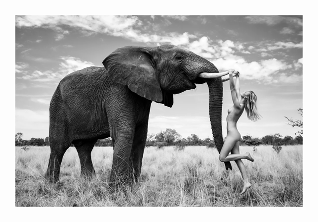 Красота повсюду: победители фотоконкурса International Photography Awards 2020 - фото 496872