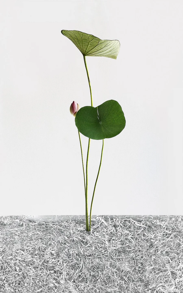 Красота повсюду: победители фотоконкурса International Photography Awards 2020 - фото 496879