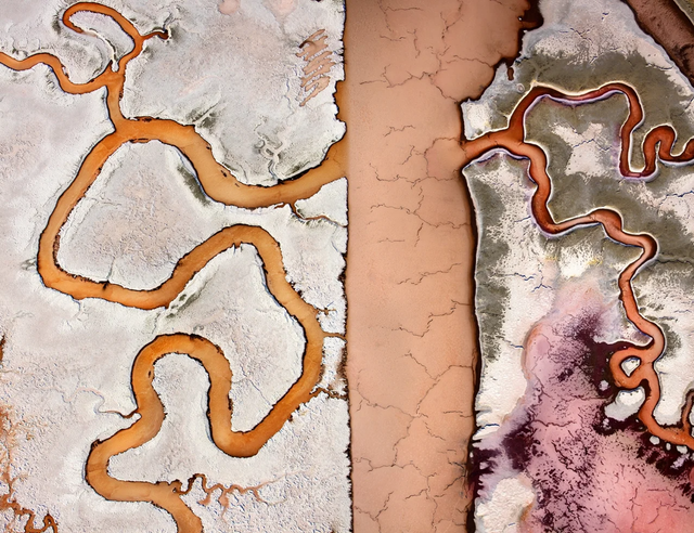 Красота повсюду: победители фотоконкурса International Photography Awards 2020 - фото 496885