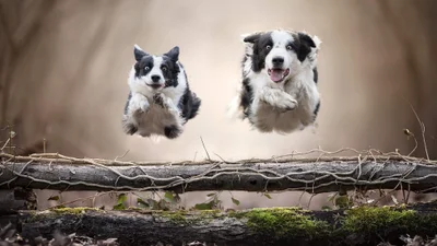 Краса повсюди: переможці фотоконкурсу International Photography Awards 2020