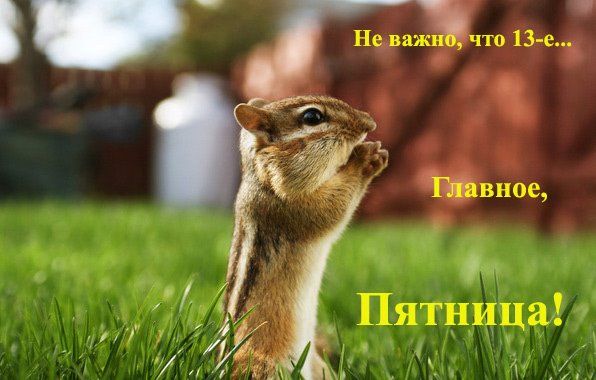 Пятница 13-го смешные картинки - фото 497119