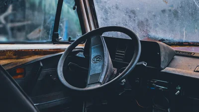 Мужчина год не мыл авто, и внутри зародилась "новая жизнь"